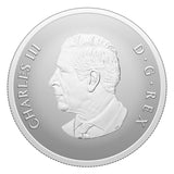 2025 Canada $20 Fine Silver Coin - Remembrance Day