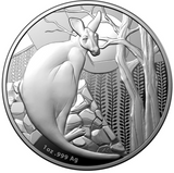 2022 Kangaroo Series - Impressions Proof 1oz Silver Coin