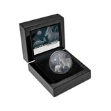 2024 Australia at Night Rock Wallaby $1 1oz Silver Black Proof Coin