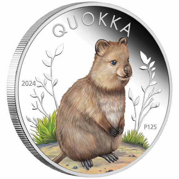 Quokka 2024 $1 Colour 1oz Silver Proof Coin