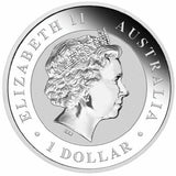 2015 Australian Stock Horse 1oz Silver Coin in Card