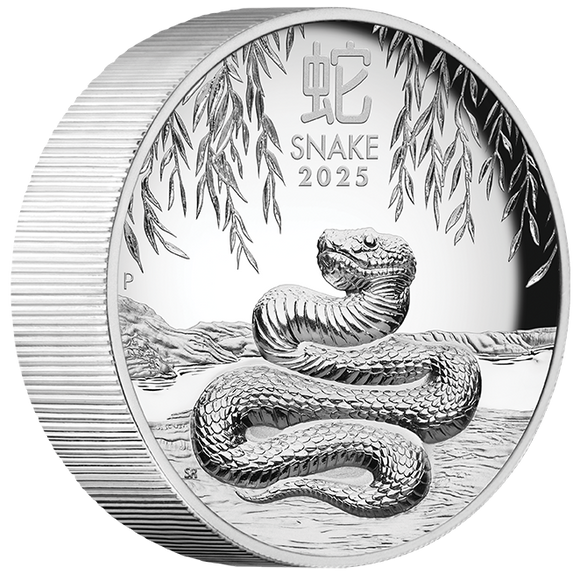 2025 Year of the Snake 5oz Silver Proof High Relief Coin