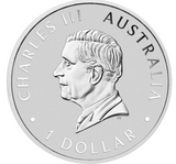 2025 Australian Emu 1oz Silver Coloured Coin