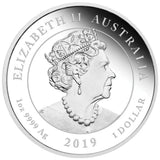 2019 Double Dragon - 2oz Silver Proof High Relief Coin