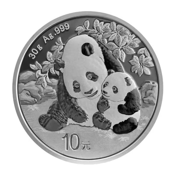 China 2024 Panda 30 gram Silver Coin