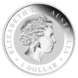 2017 $1 Australian Kangaroo 1oz Silver Gilded Coin