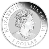 2019 $1 Australian Kangaroo 1oz Silver Gilded Coin