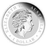 2018 $1 Australian Kangaroo 1oz Silver Gilded Coin