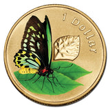 2011 $1 Air Series Cairns Birdwing Butterfly Coloured Uncirculated Coin in Card