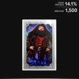 HARRY POTTER™ - 25 Years of Magic Blind Box 5g Foil Blind Box