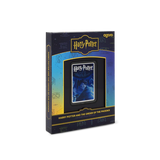 HARRY POTTER™ - Harry Potter and the Order of the Phoenix 2oz Silver