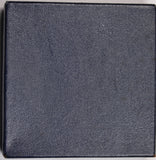 David Rivett CSIRO Medal by Andor Meszaros