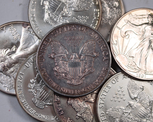 USA 1991 Silver Eagle Toned Bullion Coin