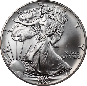 USA 1989 1oz Silver Eagle Coin