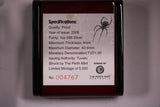 2006 Deadly and Dangerous - Redback Spider 1oz Silver Proof Coin