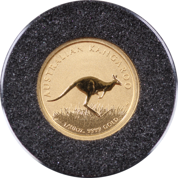 2008 Kangaroo 1/20oz Gold Coin