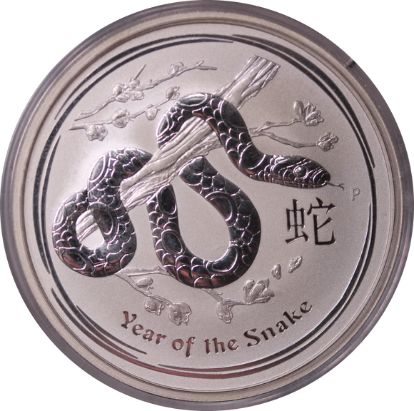 2013 Year of the Snake 2oz Silver Coin