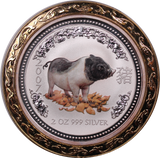 2007 2oz Silver Coloured Year of  the Pig Coin