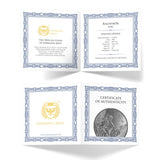 2025 Ragnarok Loki 1oz Black Silver Coin