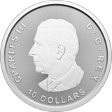 2025 Royal Canadian Mint 2oz Silver Goose Bullion Coin