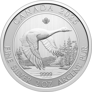 2025 Royal Canadian Mint 2oz Silver Goose Bullion Coin