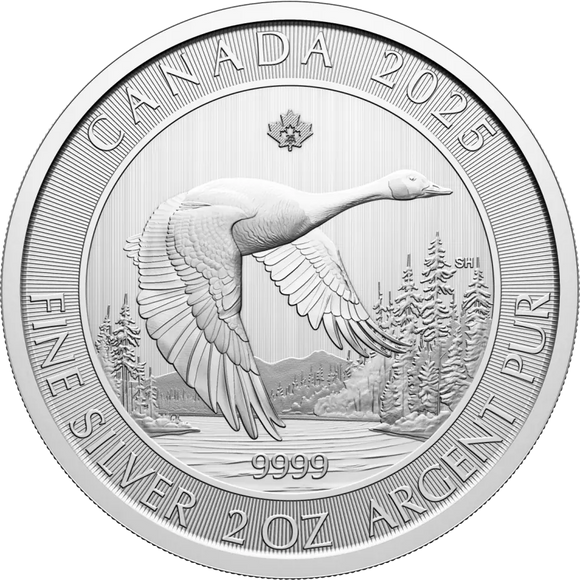 2025 Royal Canadian Mint 2oz Silver Goose Bullion Coin