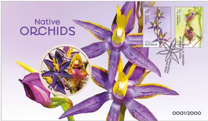 Native Orchids Medallion Cover