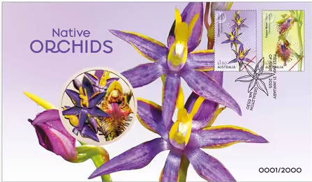 Native Orchids Medallion Cover