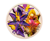 Native Orchids Medallion Cover