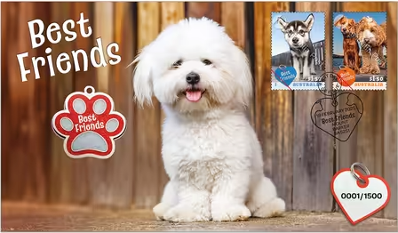 Best Friends Dog Medallion Cover