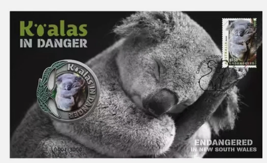 2024 Koalas in Danger Medallion Cover NSW
