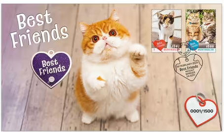 Best Friends Cat Medallion Cover
