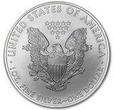 USA 2009 1oz Silver Eagle Dollar Coin