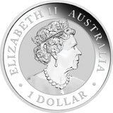 2022 Wombat 1oz Silver Coloured Coin in Card