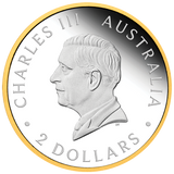 Wedge Tailed Eagle 2026 2oz Silver Enhanced Reverse Proof Ultra High Rrelief Gilded Coin