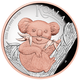 2026 Australian Koala 5oz Silver Pink Gild High Relief Coin
