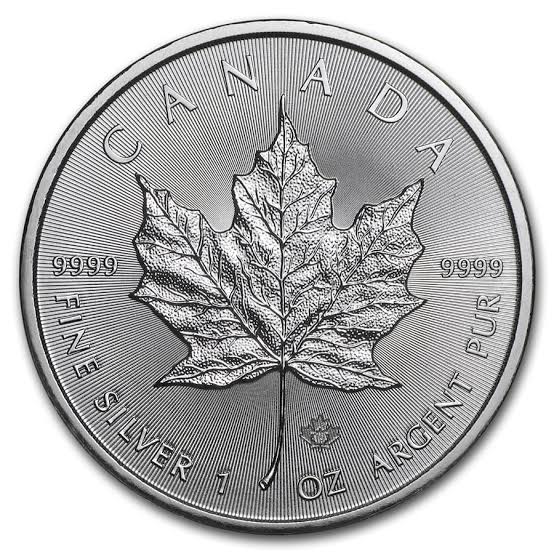 Canada 2019 Maple 1oz Silver Coin