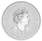2022 Lunar Year of the Tiger 1 Kilo Silver Coin