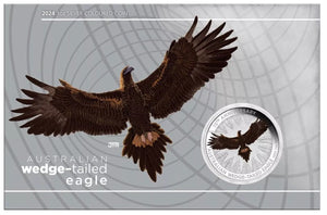 Australian Wedge-tailed Eagle 10th Anniversary 2024 1oz Silver Coloured Coin in Card