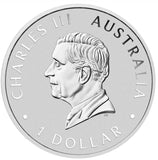 Australian Wedge-tailed Eagle 10th Anniversary 2024 1oz Silver Coloured Coin in Card
