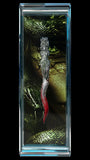 2025 Cameroon Medusa Dagger Antiqued High Relief Crimson Enamel 2oz Silver Coin