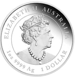 2022 Year of the Tiger 1oz Coloured Silver Proof Coin
