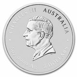 2025 Australia 5oz Silver Lunar Snake Coin in Capsule