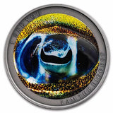 2022 1/2 oz I am the Biggest: Big Fin Reef Squid Silver Coin