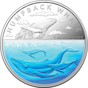 2023 Humpback Whale 1oz Coloured Silver Proof Coin