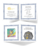 2025 Witchcraft: Herbalist Ritual 1 oz Silver BU