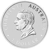 2024 Brumby 1 oz Silver Coloured Silver Coin NGC MS70