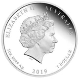 2019 1oz Silver Coloured Year of  the Pig Proof Coin