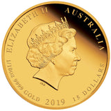 2019 Year of the Pig 1/10oz Gold Proof Coin