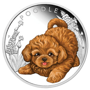 2018 Puppies Poodle 1/2oz Silver Proof Coin